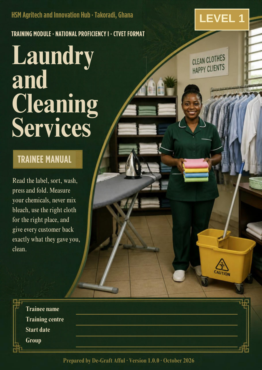 Cover of Laundry and Cleaning Services